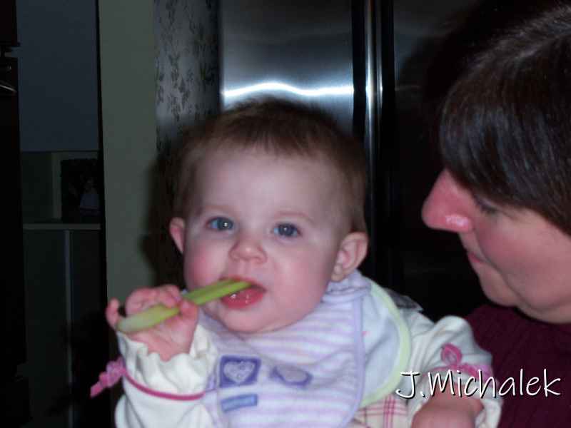100_1259.JPG