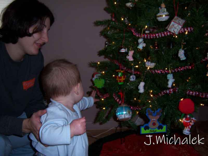 100_1312.JPG