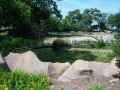 2008_0621_DetroitZoo