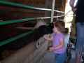 2008_0820_PettingFarm