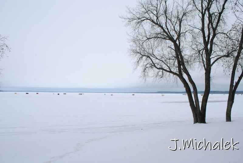 DSC_1335.JPG