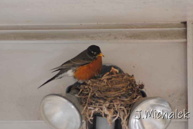 DSC_7768.JPG