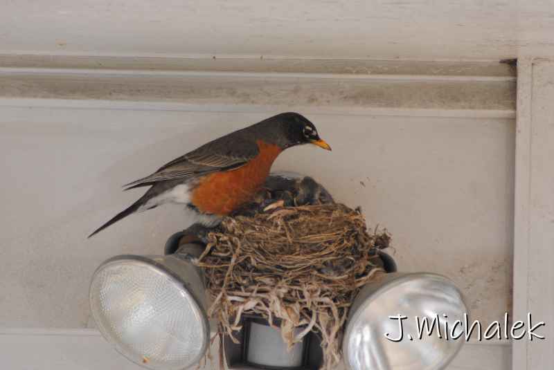 DSC_7773.JPG