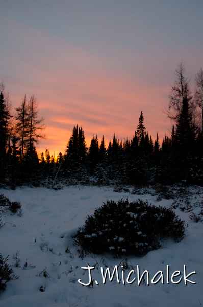 D7K_0111.jpg