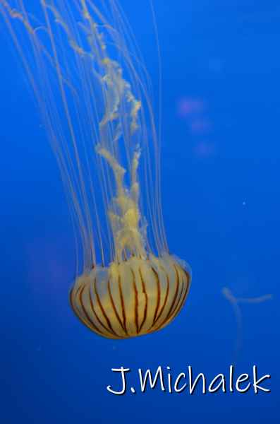 D7M_1566.JPG