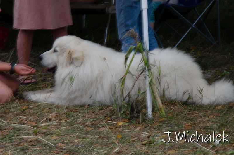 D7O_6145.jpg